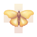 Macondo+ Logo